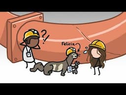 Ferrets in STEM | Science Minute