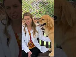 Get to know Dr. Applegate!