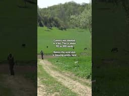 Locating Gobblers a Long ways off