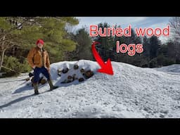 Where are my wood logs?