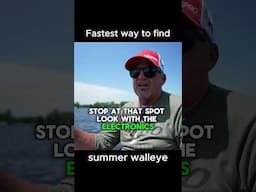 Fastest method to find WALLEYE in the summer! #walleye #shorts #fishing