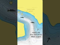 Spring TRANSITION areas? (Spring Bass Fishing)