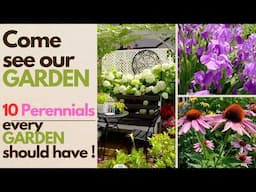 10 PERENNIALS EVERY GARDEN SHOULD HAVE | Come see our TINY GARDEN #flowers #plants #garden #new