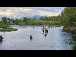 FISHING FOR KING SALMON IN SHIP CREEK | URBAN COMBAT FISHING