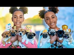 Big Magical Puppy Surprise!