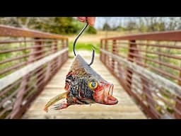 Dropping A CRAPPIE HEAD Off A Backwoods Bridge!!! (IT WORKED)