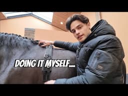 New horse update, we fixed our mud problem at home & part of our land we never showed before!
