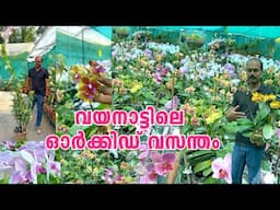 ഏതു വേണമെന്ന് കൺഫ്യൂഷൻ ! വയനാട്ടിലെ ഓർക്കിഡ് വസന്തം Amazing Orchid Collection