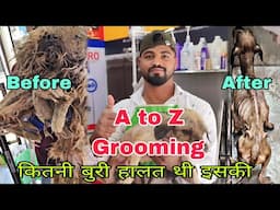 dog grooming video dog grooming at home dog a to z grooming video #dog #grooming #amitalbinopets