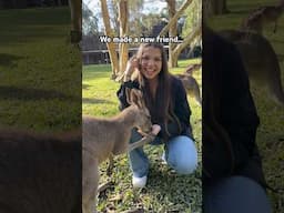 It HELD HER HAND! 👀😱🦘 | Triple Charm #shorts