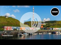 Hundreds of physicists on a remote island: we visit the ultimate quantum party