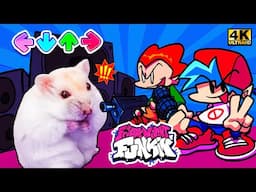 Hamster Explores the Fascinating World of Friday Night Funkin' Game