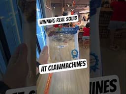 IS THIS THE BEST CLAWMACHINE IN KL? HALOLO PARK  is at Sunway Pyramid KL B2 Blue. #Arcadeninja #claw