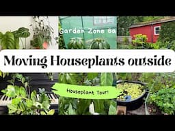 Outdoor Houseplant Tour | What I Moved Outside This Summer! | Indoor Houseplant Tour