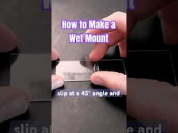 How to make a wet mount in 60 seconds. #biology #science #microscope