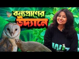 বাড়ির বাগানে নিয়ে আসুন অনেক পাখি, প্রজাপতি | Wildlife Garden | Butterfly Garden