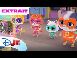 SuperChatons - Extrait : Il faut sauver les canards !