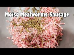 Moist Mealworms Sausage