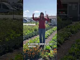 On my recent California Grown agricultural tour, we visited City Farm SLO #CAgrown