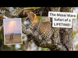 Wildlife Photography in the Masai Mara, Part 3. The ending of a LIFECHANGING Wildlife Adventure!