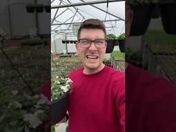 How Much PROFIT Comes From Hanging Baskets? #gardening #garden #gardeningtips #shorts