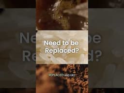 Kitchen Ingredients You Need To Replace