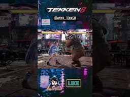 AHO BOKE! 🐵 vs Bear 🐻 #Tekken8 #Gaming #Gamers