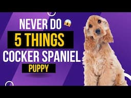 Never Ignore These 5 Sign In Your Cocker Spaniel in Hindi