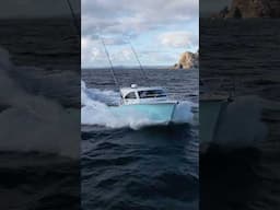 Meet Tuatea | Makaira Boats Gen3 35