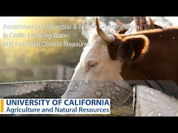 Assessment of Microbial/Nitrate Contamination in Cattle Drinking Water & Potential Control Measures