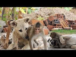 Kiki comforts Nahu after Lambo leaves