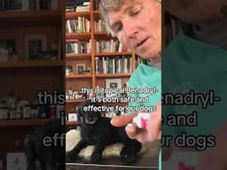 Dog licking groin with red, itchy skin? New OTC Remedy can Help!