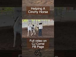 The goal is to have the horse associate a tight cinch with unbracing the feet. #horse #equestrian#fy