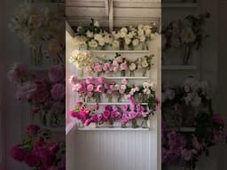 A study in old European roses.