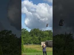 Runaway Zebra Is Airlifted Home