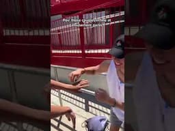 Pov: Those Couples at Amusement Parks