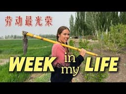 Raw, unfiltered life in NORTHWEST CHINA 🐂 My fiancé's family's farm! 广阔的天地大有作为！美国郊区孩子融入准公婆家的西北农村生活！