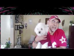 amigo