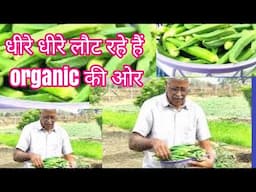 Farmhouse videos now we are starting organic farming slowly .