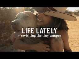 Life Lately + The Camper Comeback Begins 🛠️