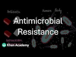 Antimicrobial Resistance | Classification of Microbes | Middle School | Science | Khan Academy