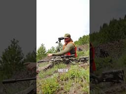 Reason #1564 to buy a Weatherby: #outdoors #hunting #weatherby #bearhunting #spring