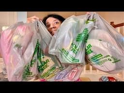 MASSIVE DOLLAR TREE HAUL!! ALL NEW ITEMS!!