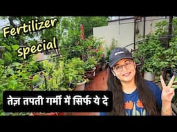 🔴WHICH FERTILIZERS/TONICS TO GIVE IN SUMMER SEASON, भीषण गर्मी में  झुलसे हुए पौधे में कौनसी खाद दें