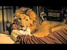 ROAR: La película más peligrosa jamás hecha