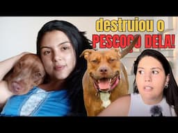 CACHORRO MATA A PROPRIA DONA E A POPULAÇÃO SE REVOLTA