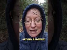 Safer space, community care, and excellent authentic resources. #ogham #tiktokban #irishhistory