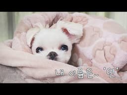 돌아보면 너무 짧았던 10년을 보내주는 방법..