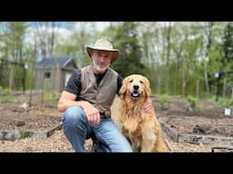 Transforming my Vegetable Garden into an Organic Perennial Back to Eden Fruit Orchard