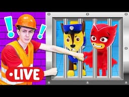 🔴LIVE Master Toc-Toc & Jardin d'enfants : jeux en direct avec la Pat Patrouille et les Pyjamasques